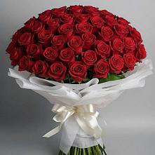Букет 101 Красная роза Блэк Мэджик в Заволенье