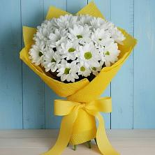 Букет цветов из:  Хризантемы в Заволенье