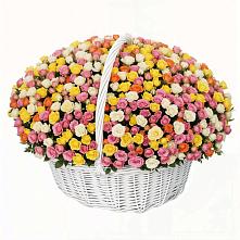 Премиум букет из: Розы в Заволенье