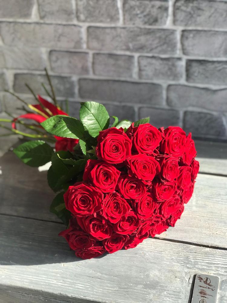 Букет Красные розы Фридом в Заволенье