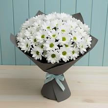Букет цветов из:  Хризантемы #REPLACE_PRED# Заволенье