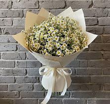 Букет цветов из:  Ромашки в Заволенье