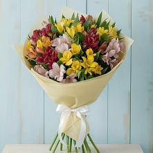 Букет цветов из:  Альстромерии в Заволенье