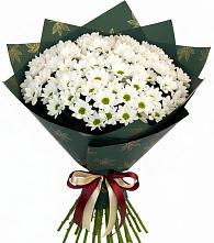 Букет цветов из:  Хризантемы в Заволенье