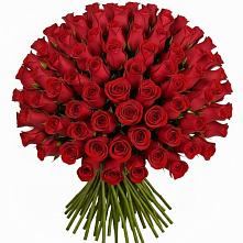 Букет Красные розы Чери Лав в Заволенье