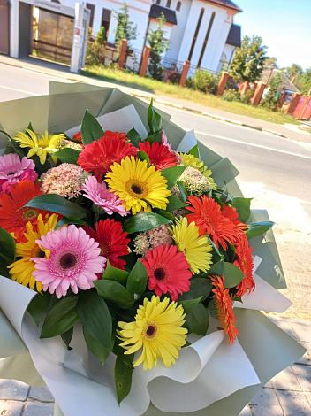 Букет цветов из: Герберы в Заволенье