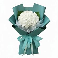 Букет цветов из:  Гортензия в Заволенье